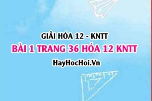 Giải bài 1 trang 36 Hóa 12 Kết nối tri thức SGK